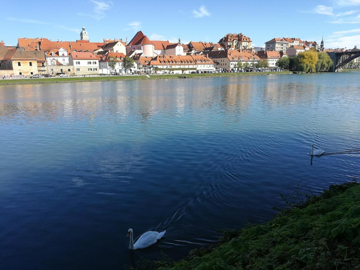 Hotel Citymap Maribor Extérieur photo